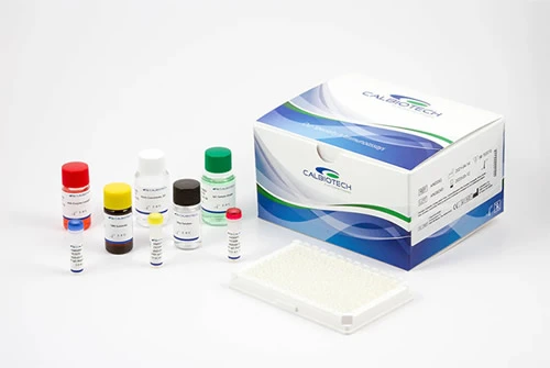 Galactosa Neonatal ELISA